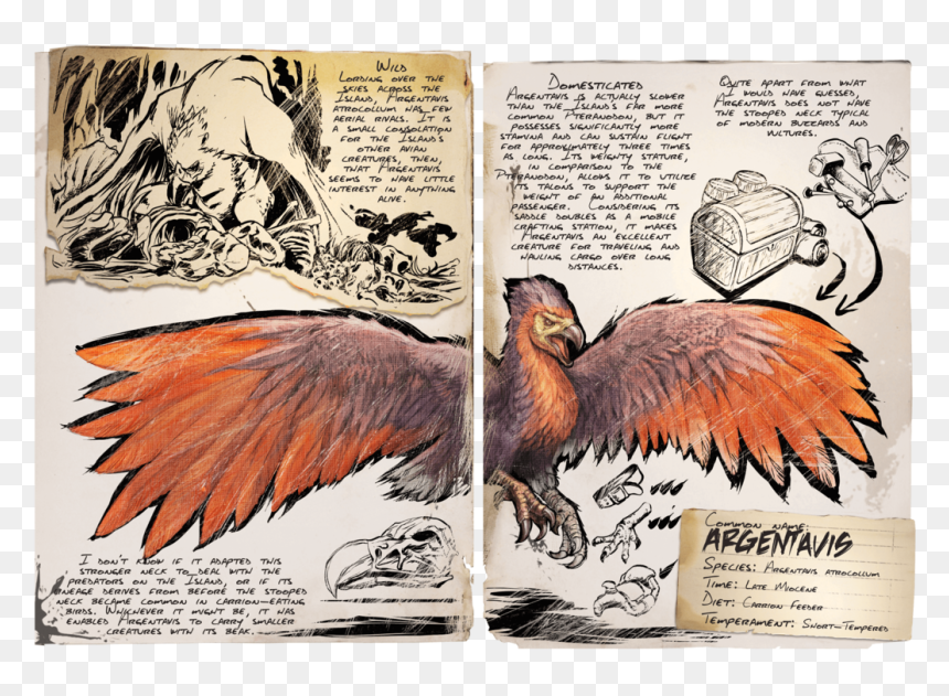 Ark Argentavis Dossier, HD Png Download - bird icon png