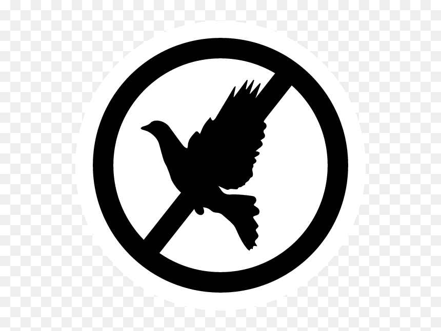 Vector Graphics, HD Png Download - bird icon png