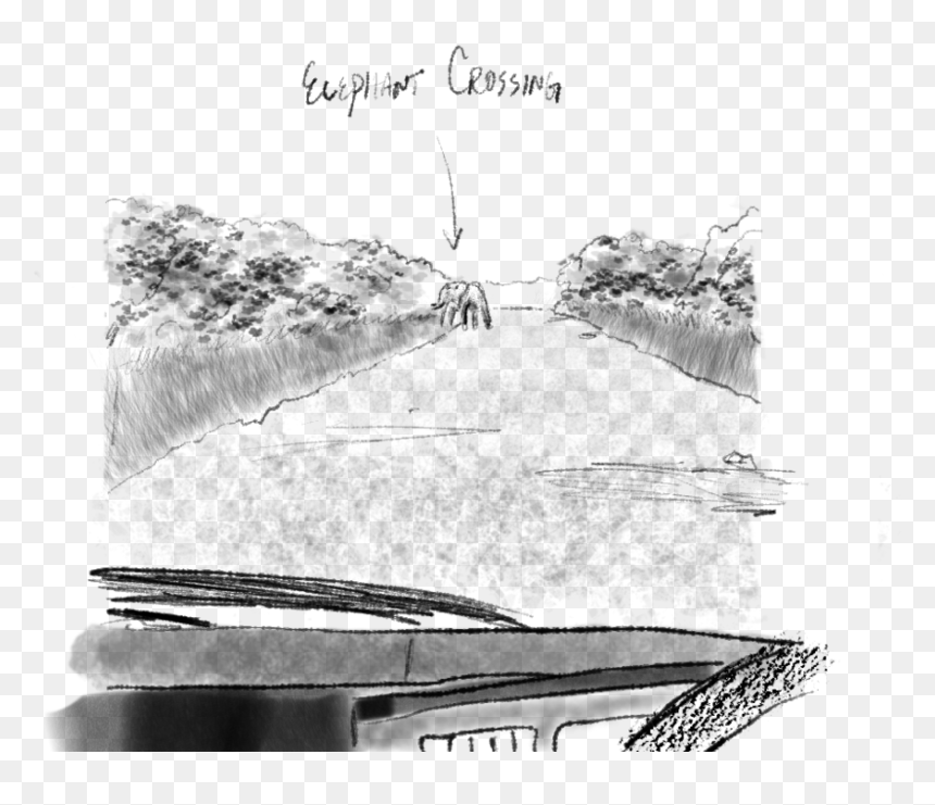Sketch, HD Png Download - hakuna matata png