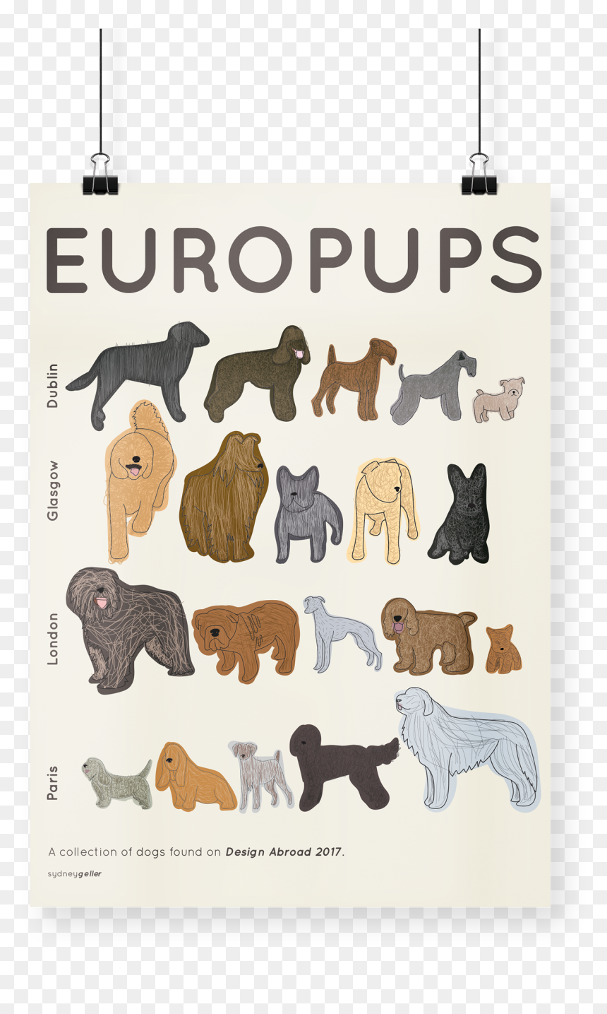 Wire Hair Fox Terrier, HD Png Download - wild kratts png