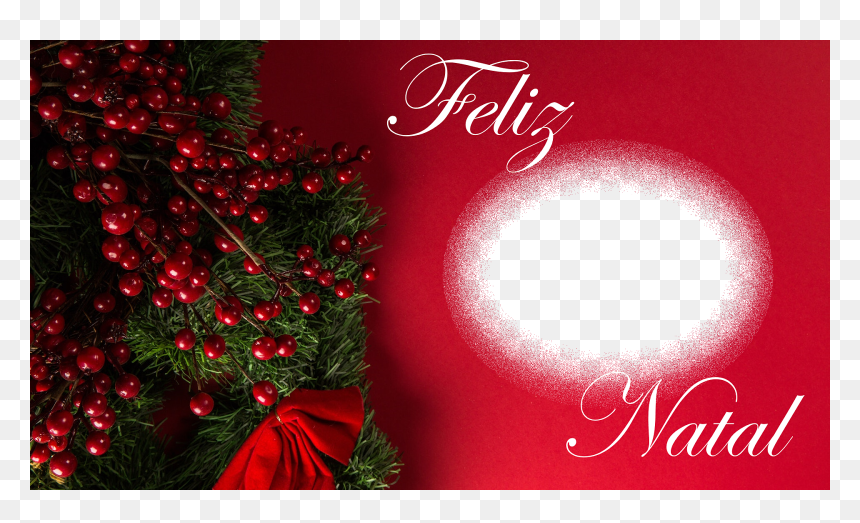 Christmas Ornament, HD Png Download - feliz natal png
