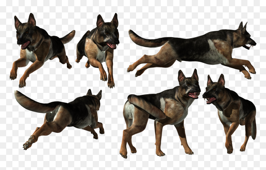 Old German Shepherd Dog, HD Png Download - ken png