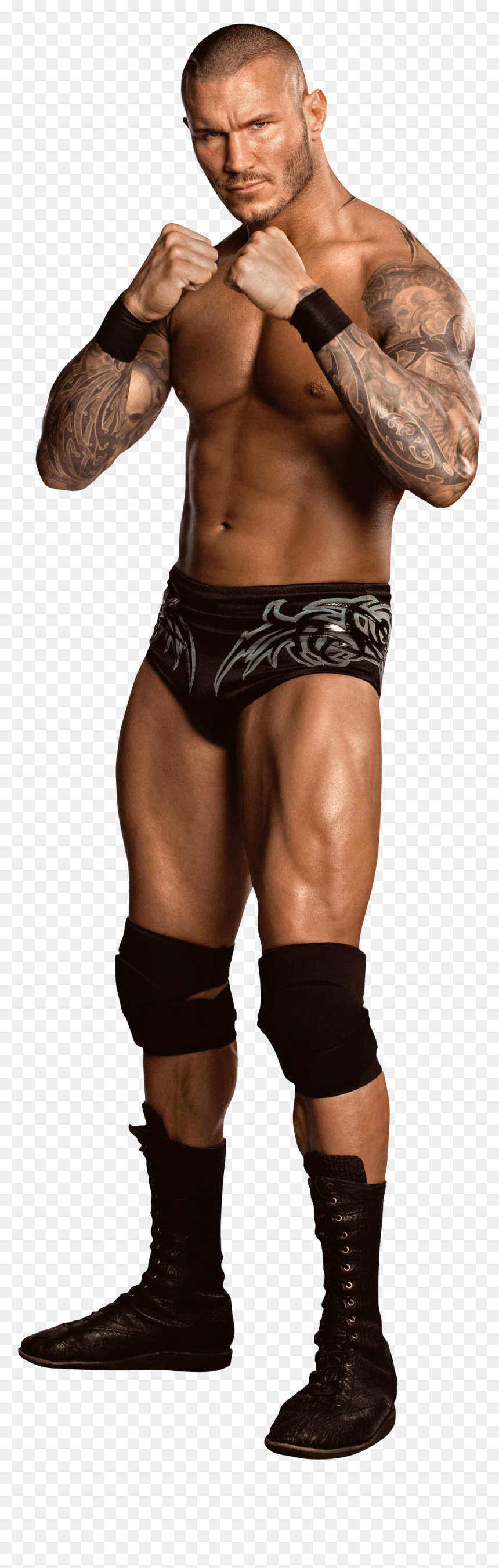 Randy Orton Full Png, Transparent Png - natalya png