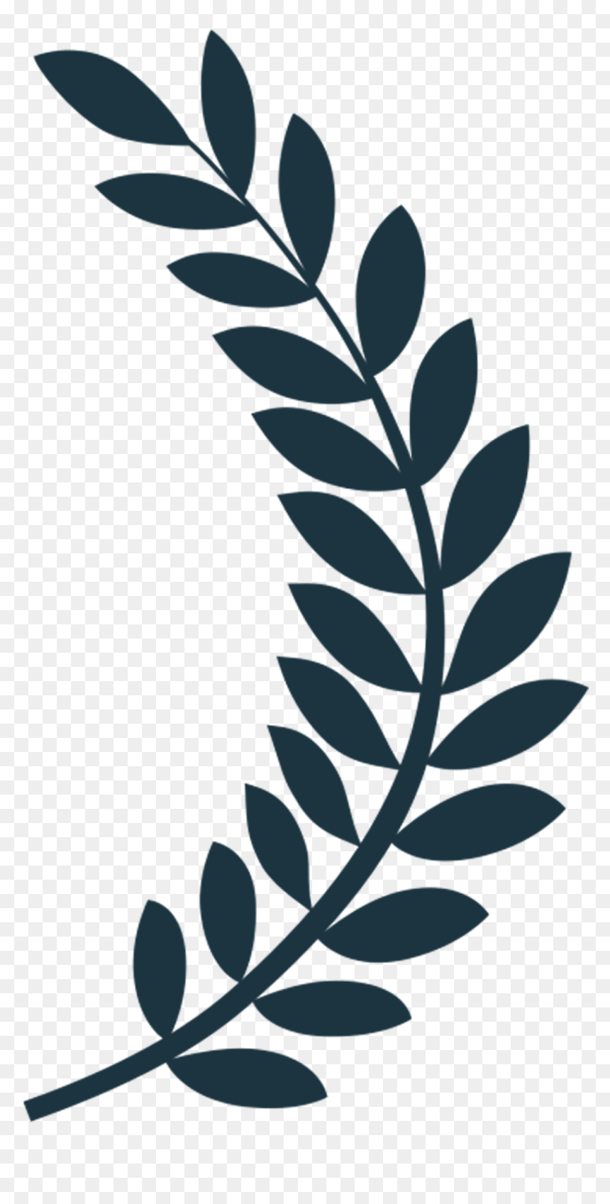 Film Festival Laurels Png, Transparent Png - laurel leaf png