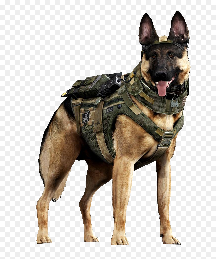 Military German Shepherd Dog, HD Png Download - cod ghosts png