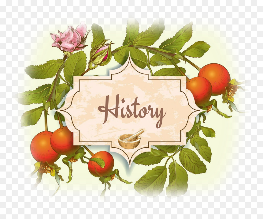 Rosehip Vintage, HD Png Download - sol badguy png