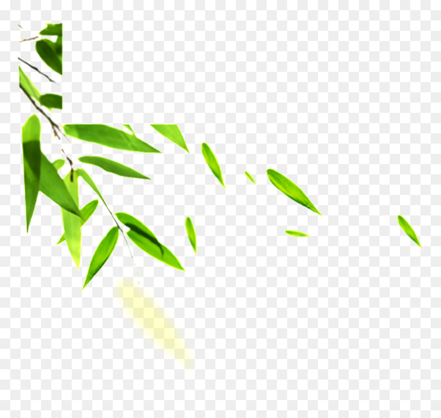 Hand Painted Bamboo Leaves Hd Png - Efectos Viento Png, Transparent Png - pile of leaves png