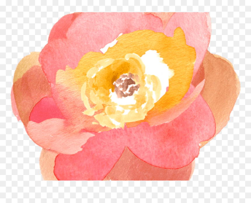 Free Png Download Watercolor Orange Flowers Png Images - Flower Transparent Clipart Watercolor, Png Download - orange flowers png