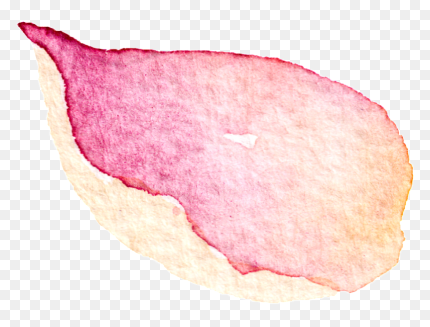 This Graphics Is Falling Petals Transparent Decorative - Peach, HD Png Download - falling petals png