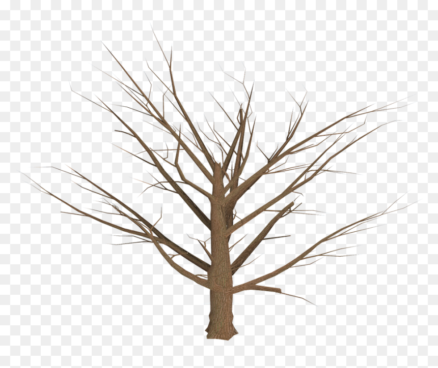 Transparent Dead Tree Logo, HD Png Download - old tree png