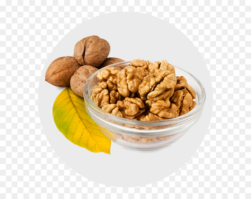 Walnut , Png Download - Akhrot Aur Doodh Ke Fayde, Transparent Png - walnut png