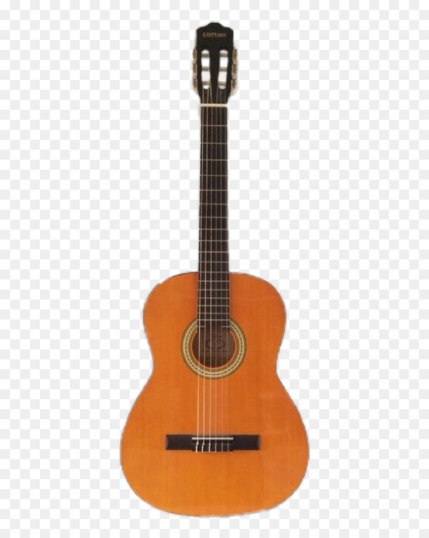 Transparent Paleontologist Clipart - Classical Parlor Guitar, HD Png Download - guitar vector png