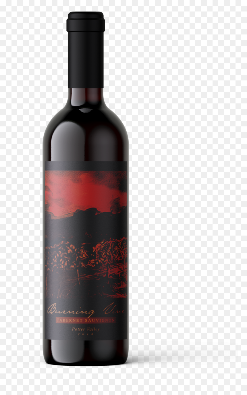 Burning Vine Mockup, HD Png Download - burning png