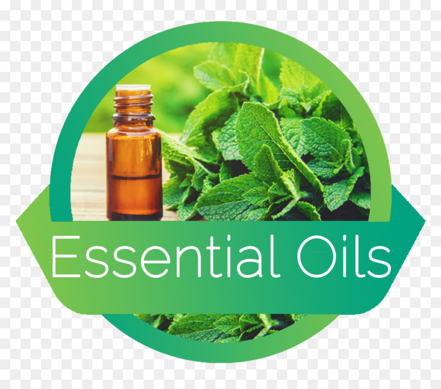 Essentialoils - Cosmetics, HD Png Download - herb png