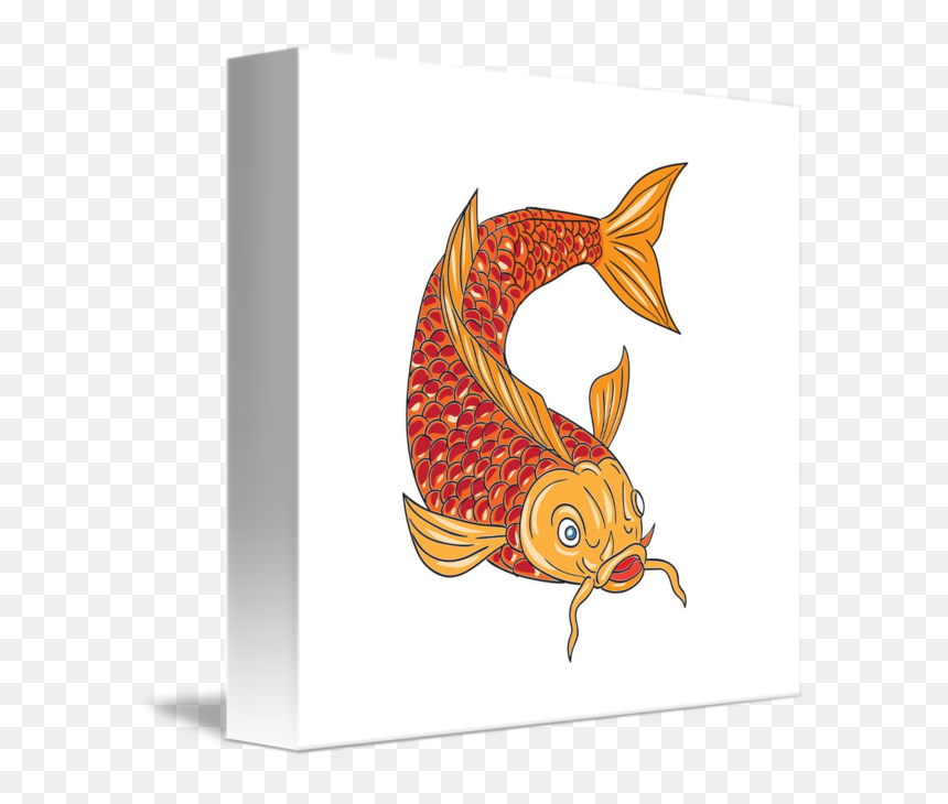 Freelance Drawing Fish - Drawing, HD Png Download - koi png