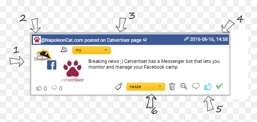 Facebook, Instagram And Twitter Content In One Social - Napoleon Cat, HD Png Download - facebook instagram twitter png