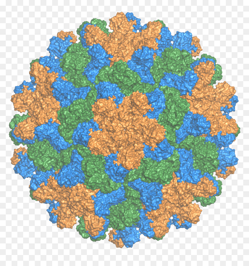 2tbv Capsid Ray - Capsid, HD Png Download - ray png