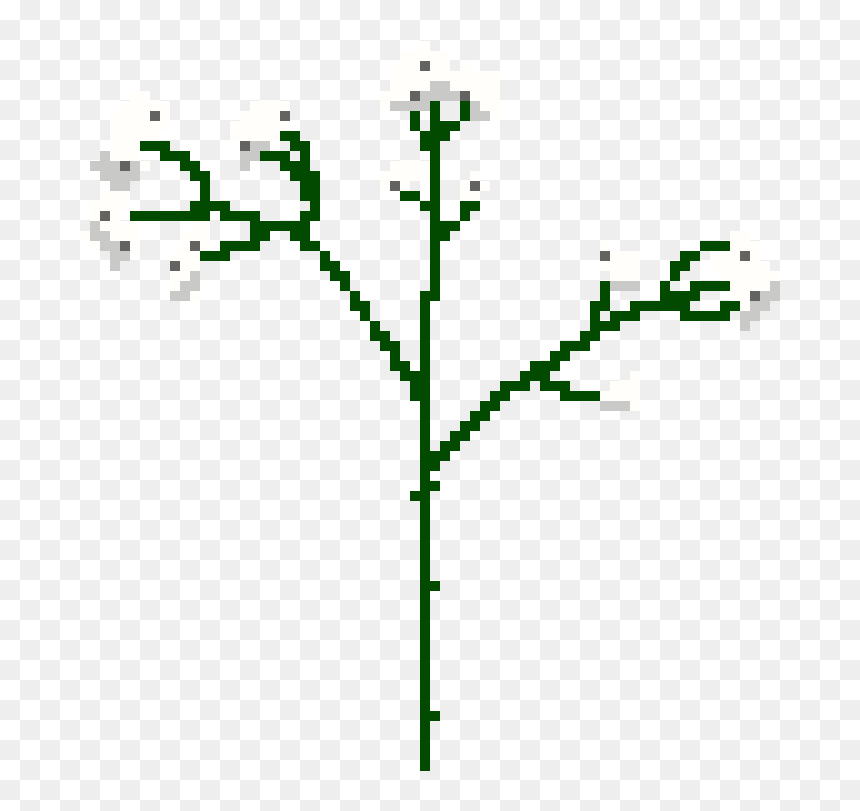 Illustration, HD Png Download - baby's breath png