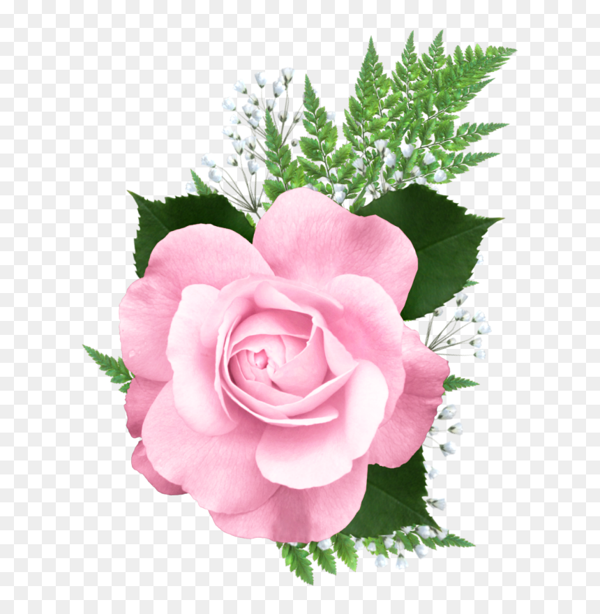 Pink Rose Png Transparent, Png Download - flower bed png