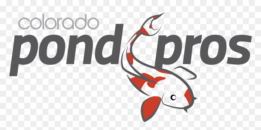Colorado Pros Building Servicing - Coral Reef Fish, HD Png Download - koi png
