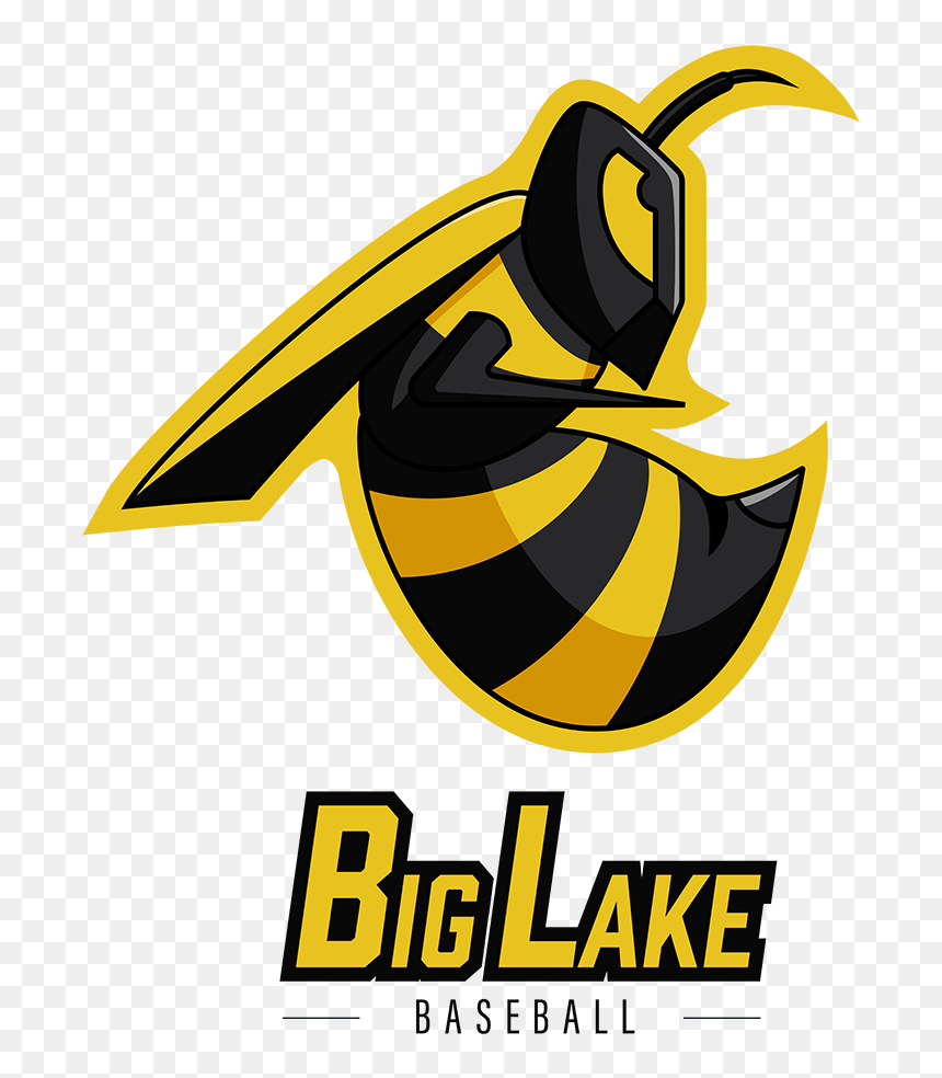Hornet Png Logo , Png Download - Portable Network Graphics, Transparent Png - hornet png