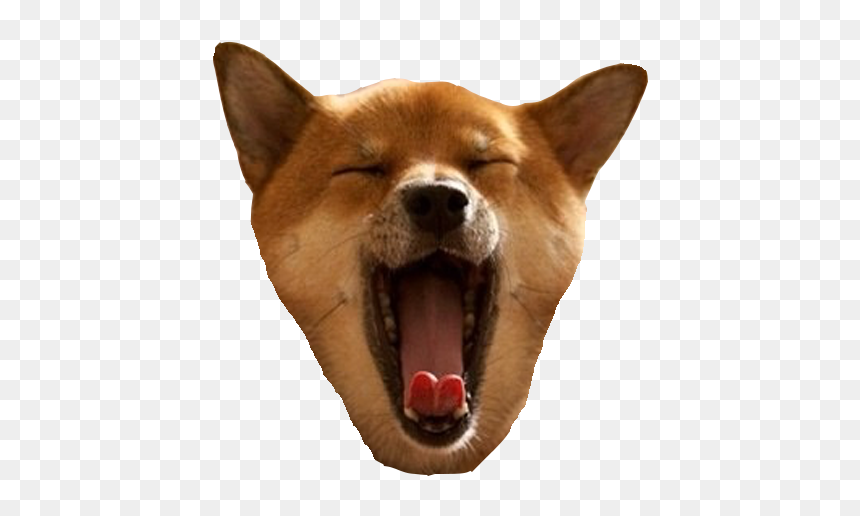 Portable Network Graphics, HD Png Download - dog head png