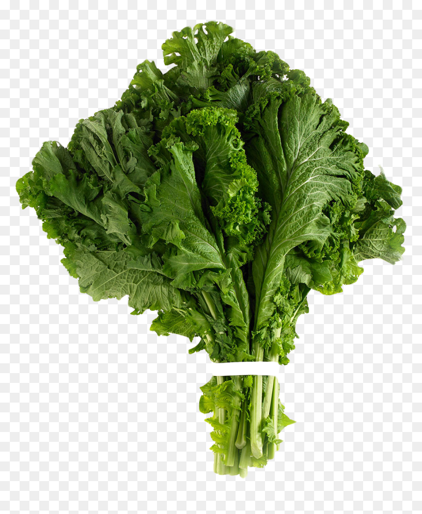 Mustard Greens Png Image - Mustard Greens Png, Transparent Png - mustard png