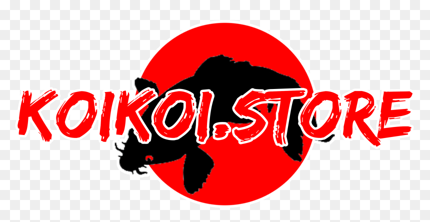 Koikoi Store Koikoi Store - Ayo Sekolah, HD Png Download - scout png