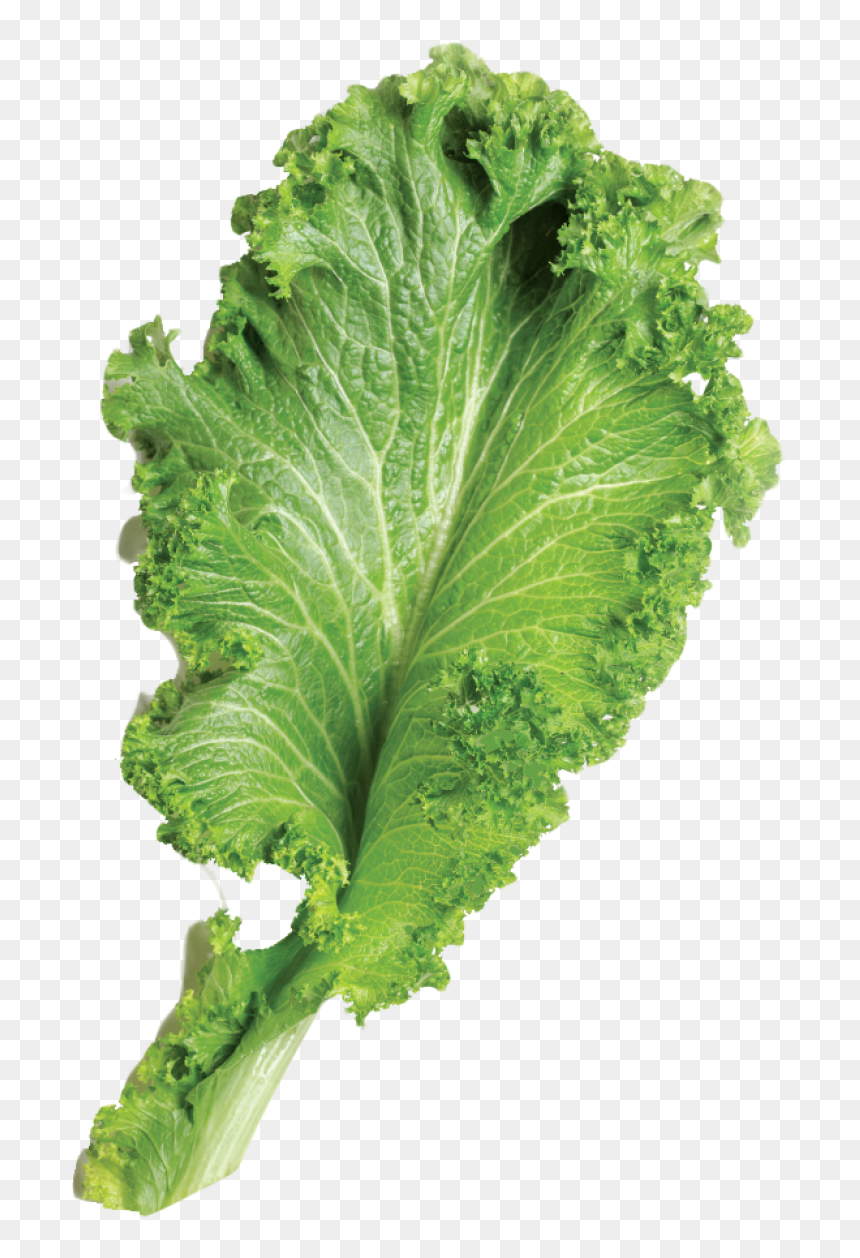 Mustard Greens Png Image - Mustard Greens Png, Transparent Png - mustard png
