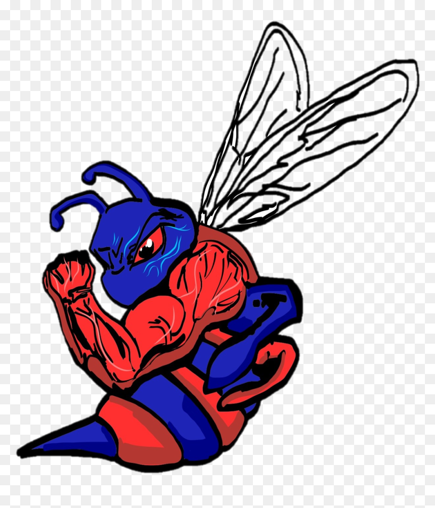 Transparent Hornet Png - Albemarle Road Middle School Logo, Png Download - hornet png