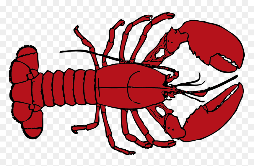 Menu Highlight Lobster Crawfish Clipart- - Lobster Clipart, HD Png Download - crawfish png