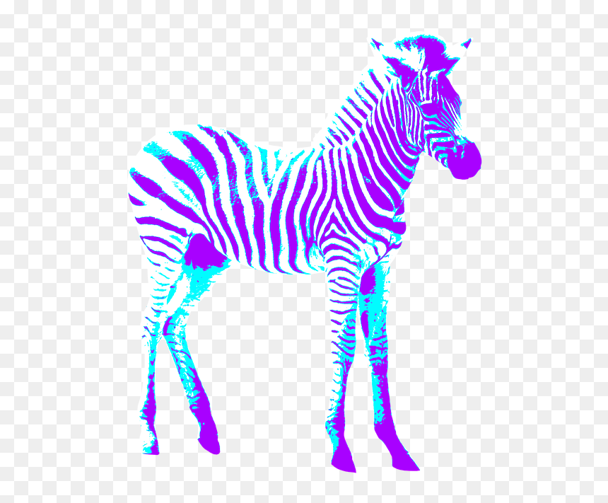 Zebra, HD Png Download - crosswalk png
