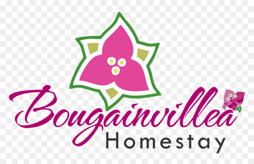 Bougainvillea , Png Download, Transparent Png - bougainvillea png