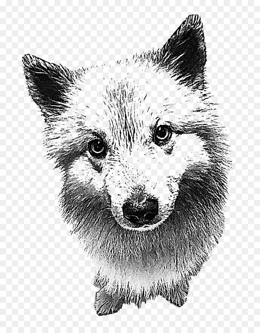 Dog Head Png, Transparent Png - dog head png