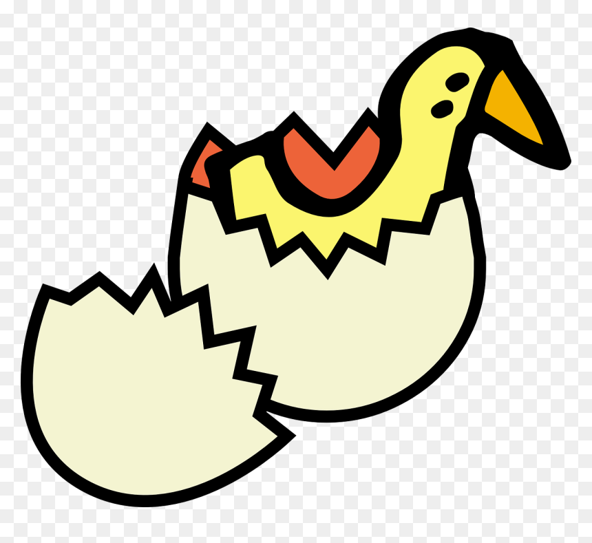 Egg Shell Clipart, HD Png Download - chicken clipart png