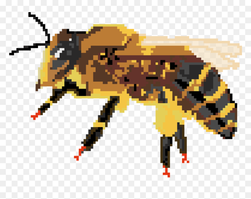 Beebutton1 - Honeybee, HD Png Download - hornet png