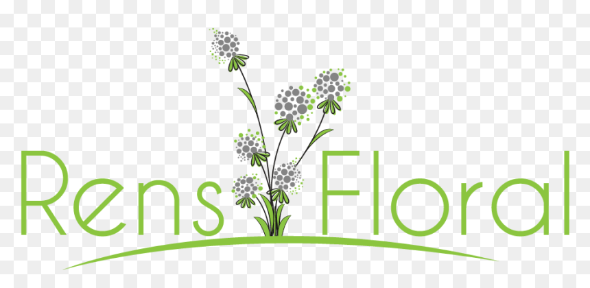 Waupun, Wi Florist - Rozali, HD Png Download - baby's breath png