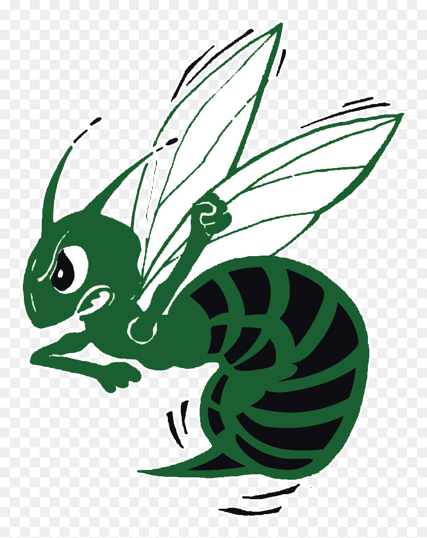 School Logo - Highland Hornets Football Logo, HD Png Download - hornet png