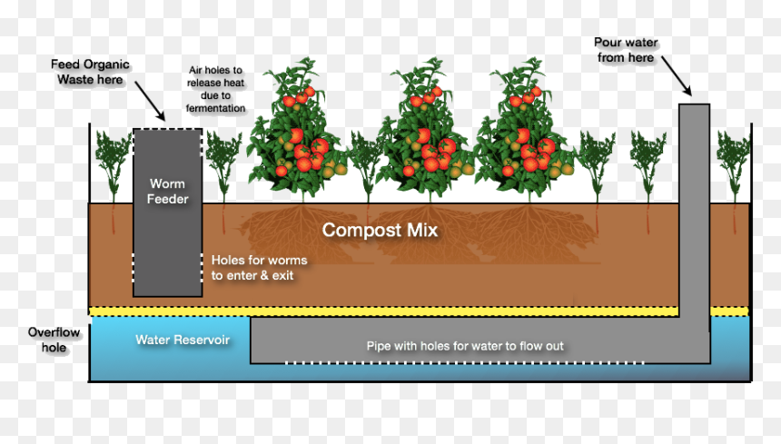 Diagram, HD Png Download - flower bed png