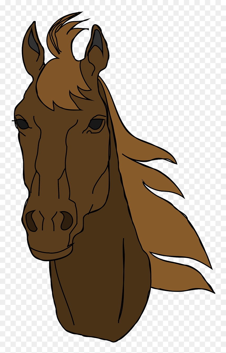 Horse Head Clipart Png, Transparent Png - horse mask png