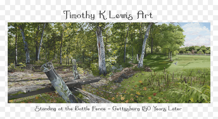 Timothy K Lewis Art - Grove, HD Png Download - old tree png