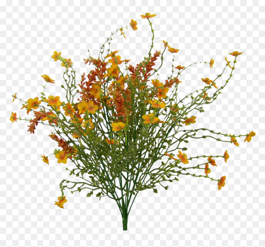 Orange Baby"s Breath Filler Bush - Bouquet, HD Png Download - baby's breath png