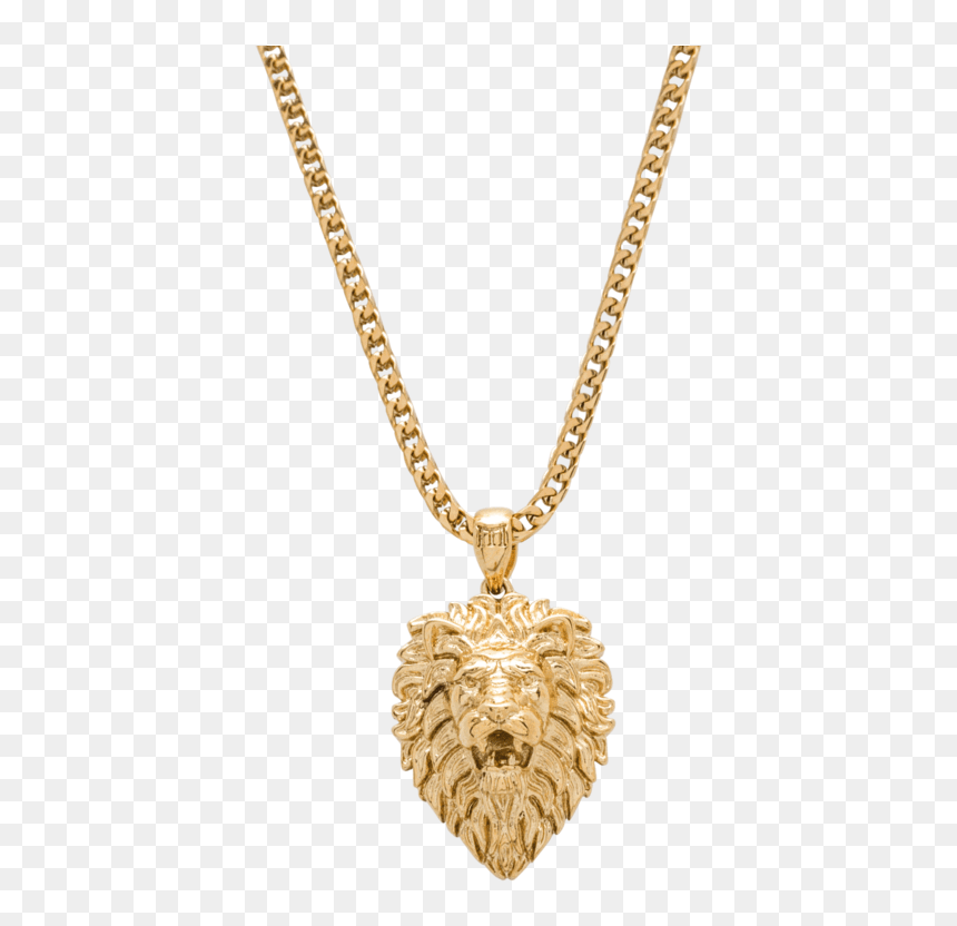Lion Necklace Gold, HD Png Download - rapper gold chain png
