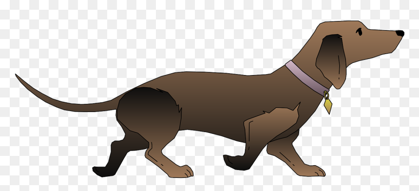 Dog Black And Brown Vector Png Clipart , Png Download - Dachshund Vector Pixabay, Transparent Png - dachshund png