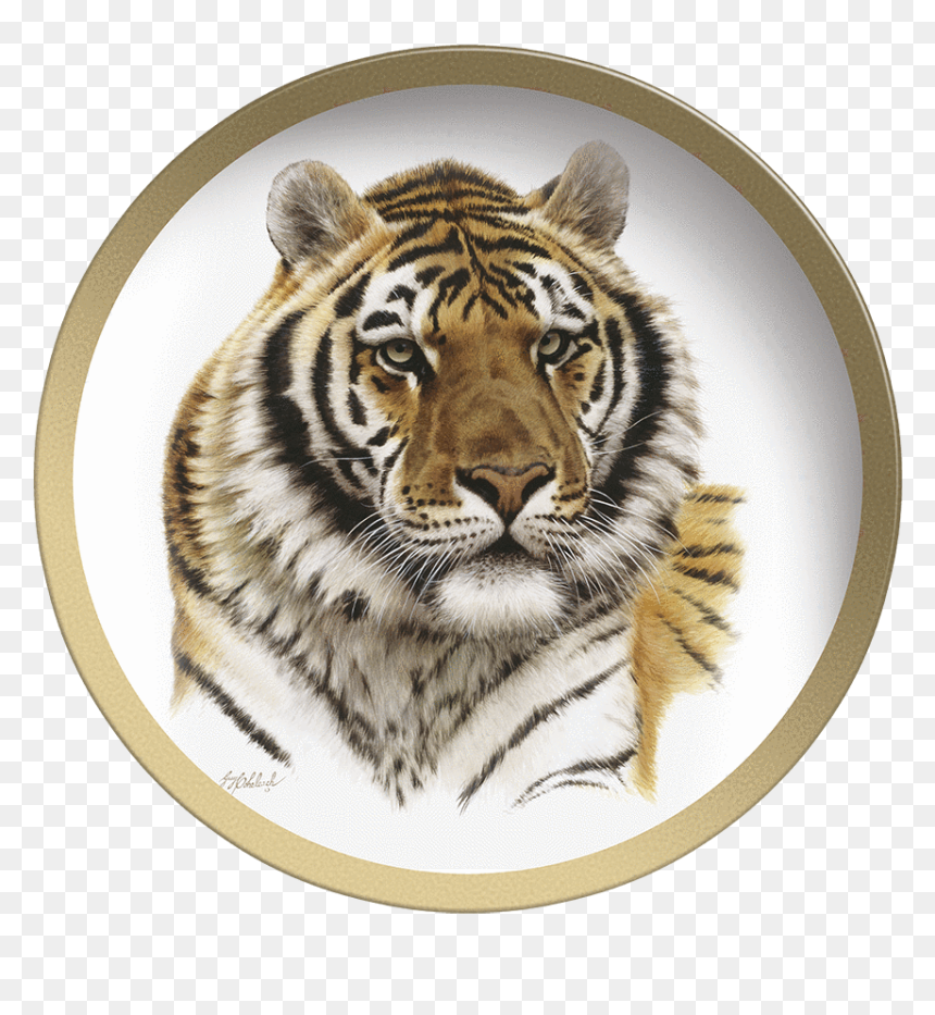 Tiger Head Png - Guy Coheleach Siberian Tiger, Transparent Png - tiger head png