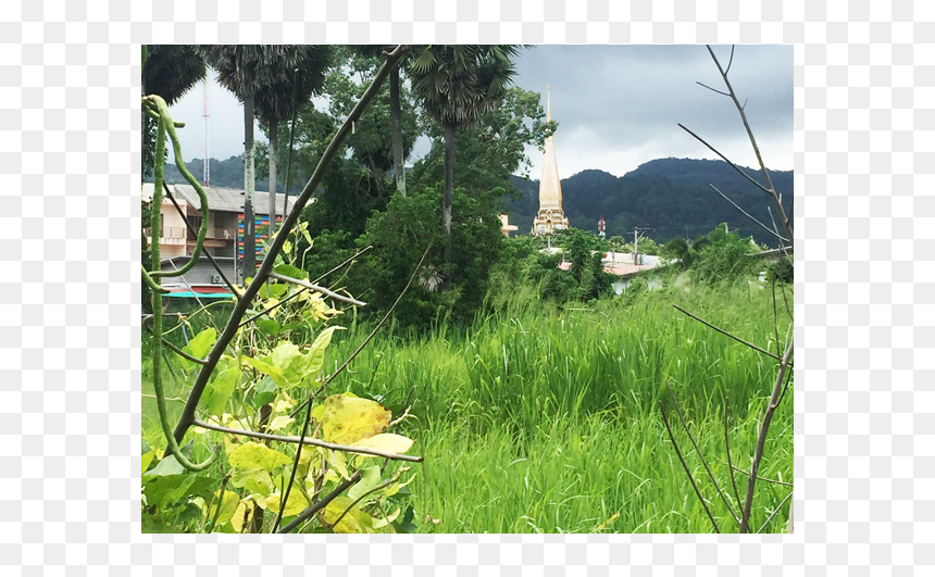 Home Legend 1b - Grass, HD Png Download - grass hill png