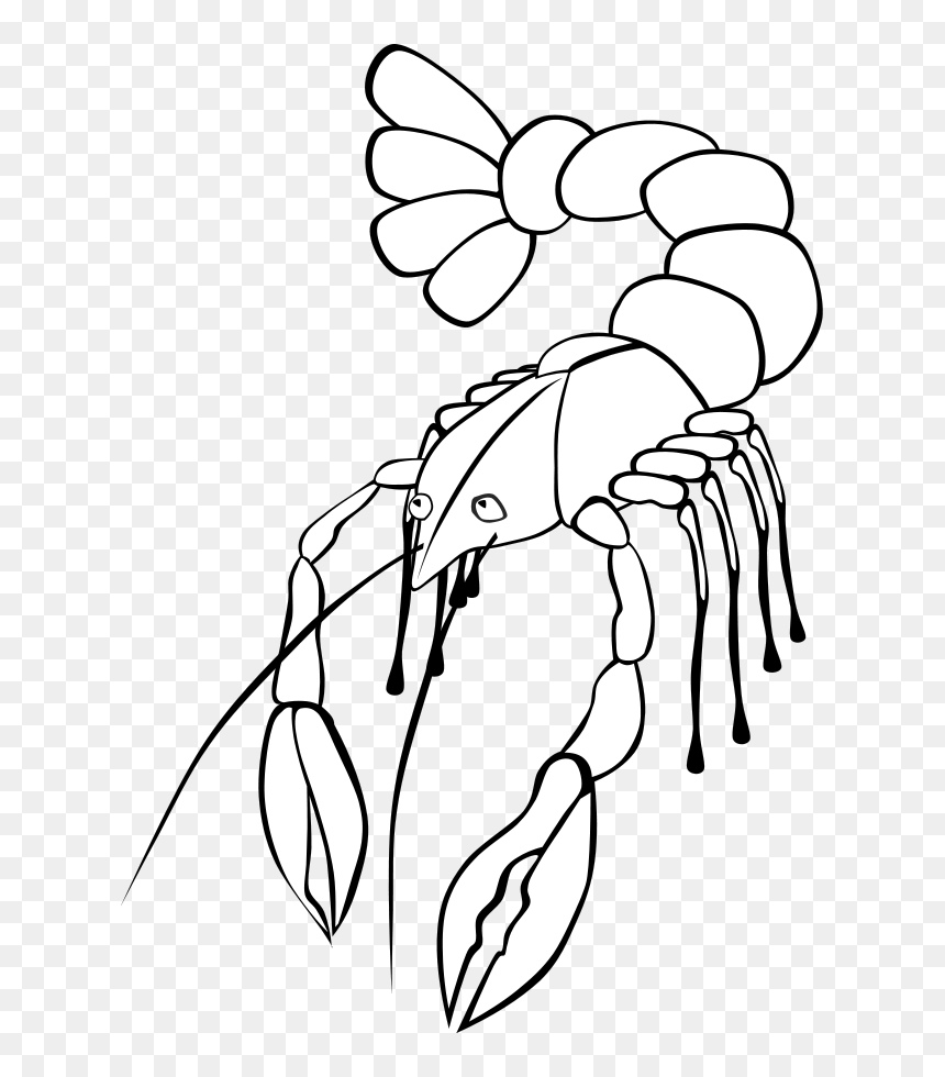 Clip Art Free Cliparts - Crawfish Clip Art, HD Png Download - crawfish png