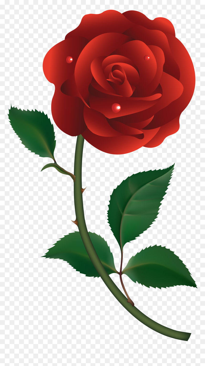 10 Roses Vector Png Files Images - Rose Vector Png Free, Transparent Png - rose vector png