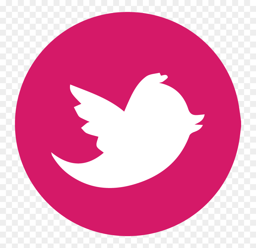Our Twitter Link - London Victoria Station, HD Png Download - twitter icons png transparent