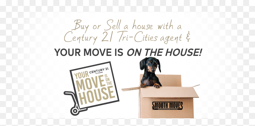Dachshund , Png Download - Telkomsel, Transparent Png - dachshund png